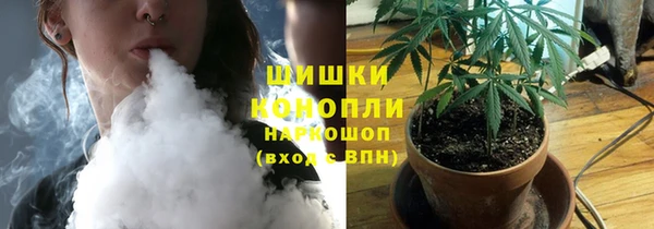 бошки Дмитриев