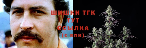 твердый Дмитровск