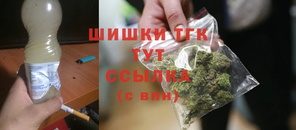 бошки Дмитриев