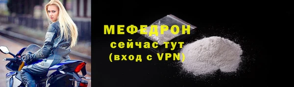 твердый Дмитровск