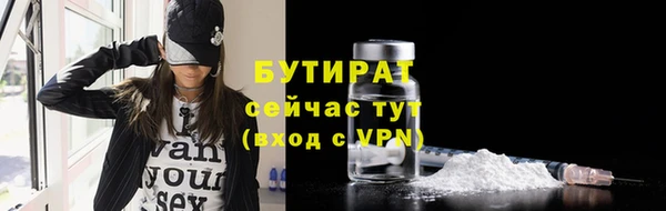 твердый Дмитровск