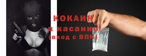 твердый Дмитровск