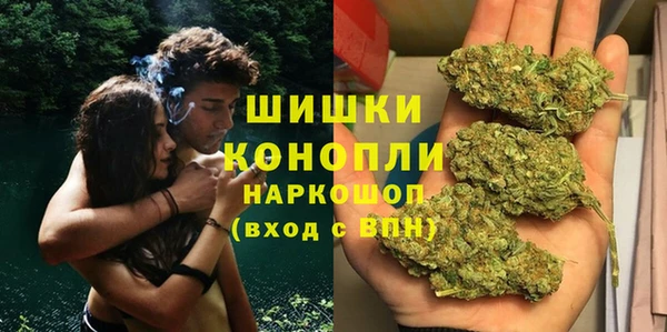 твердый Дмитровск