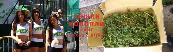 бошки Дмитриев